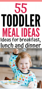 what to feed a one year old