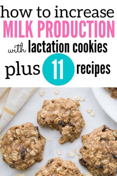 11 recipes for milk-boosting lactation cookies