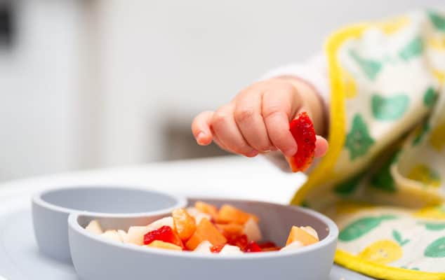 what to feed a 1 year old 