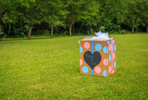 gender reveal themes