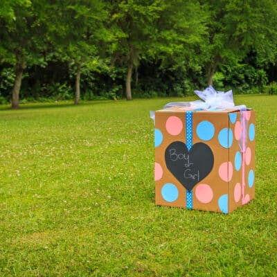 12 Super cute gender reveal ideas and party themes