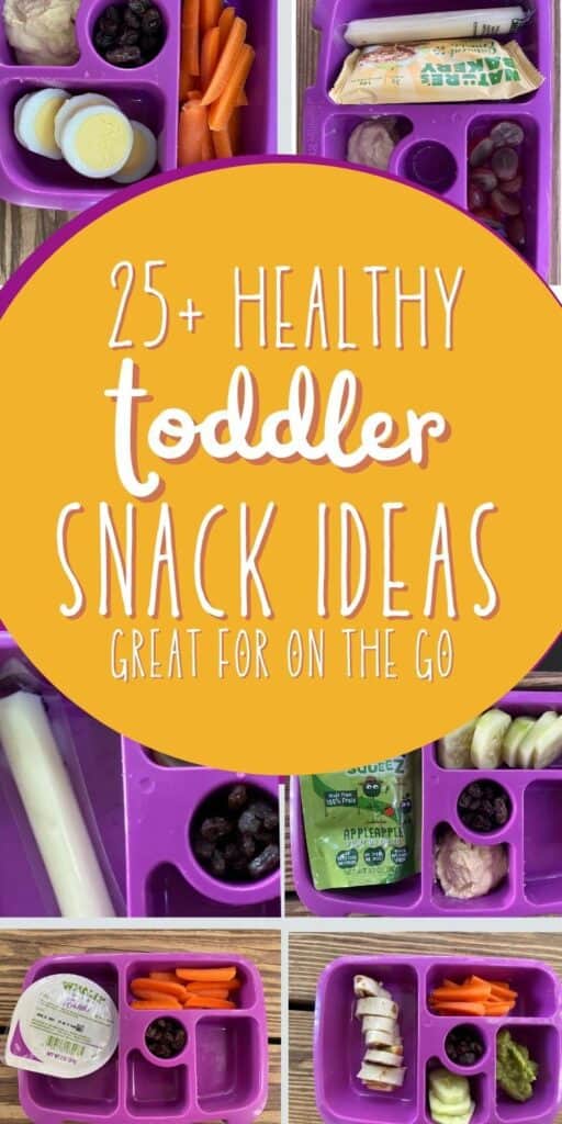 on the go toddler snack ideas - Mom like you mean it