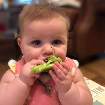 Meal ideas for 8-10 month olds
