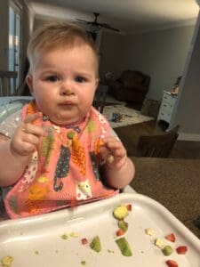 Meal ideas for 8-10 month olds